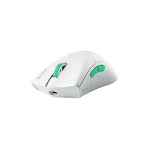 800x