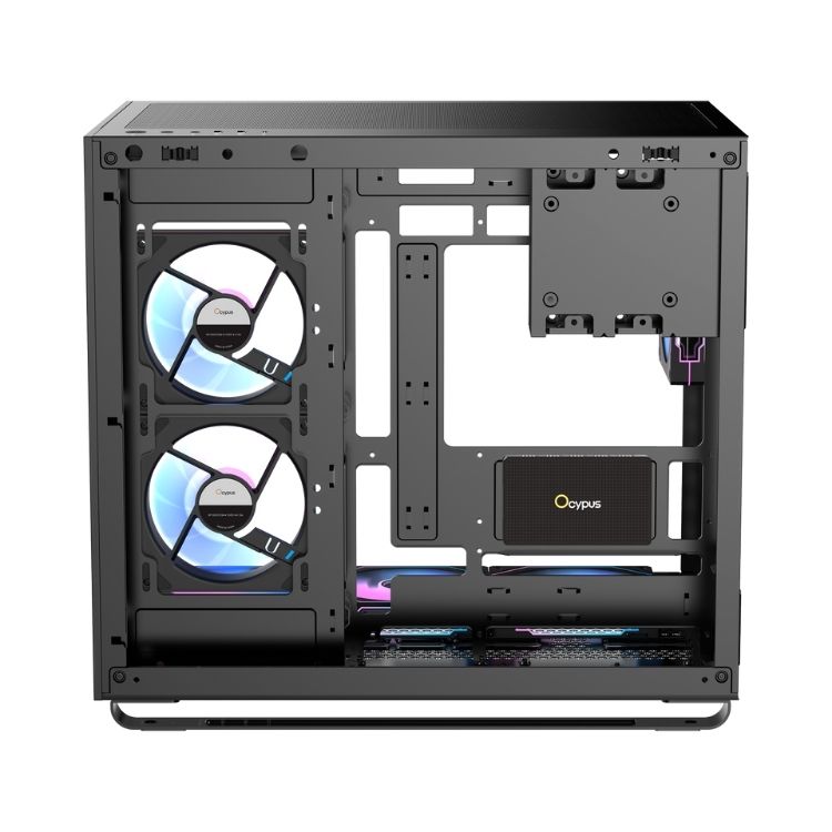 keo-tan-nhiet-ocypus keo-tan-nhiet-ocypus