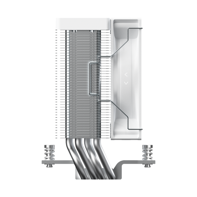 tan-nhiet-khi-Ocypus (3) tan-nhiet-khi-Ocypus (3)