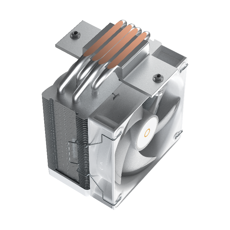 tan-nhiet-khi-Ocypus (4) tan-nhiet-khi-Ocypus (4)