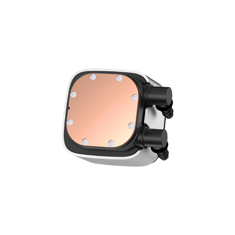 tan-nhiet-khi-Ocypus (5) tan-nhiet-khi-Ocypus (5)