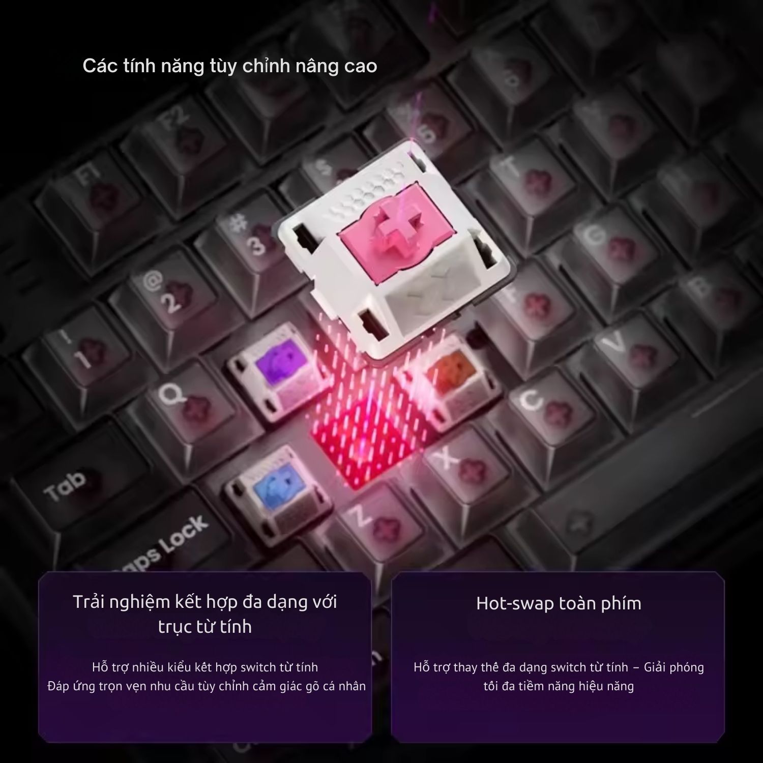 Bàn phím Cơ Xiberia NP75 Magnetic Axis 8K Gaming Keyboard 3 ban-phim-co-xiberia-np75-magnetic-axis-8k-gaming-keyboarb-2