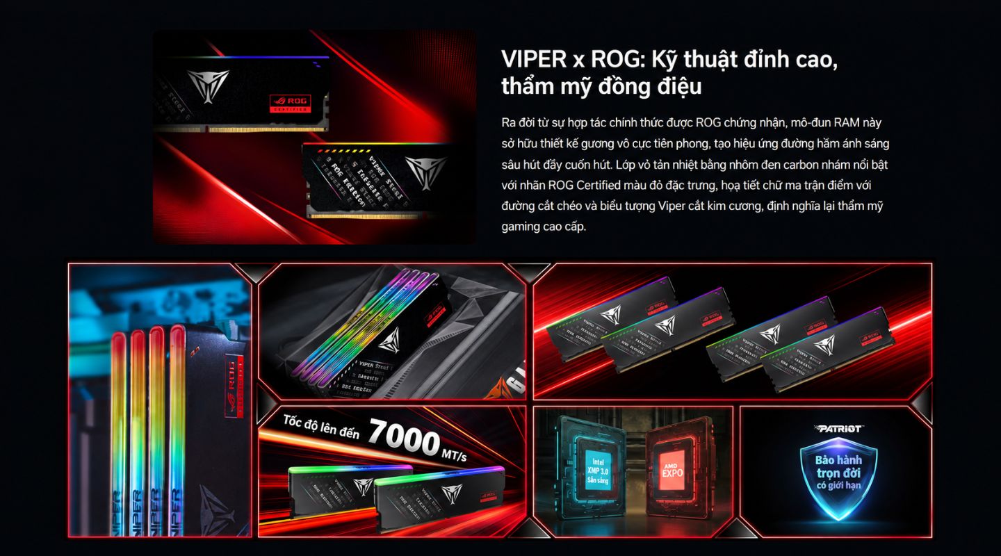 ram-patriot-viper-steel-5-infinite-rgb-ddr5-rog-edition-1